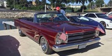 Wheels, Waves, and Flavor Gallery