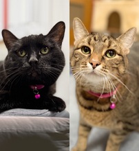 Sandy & Stormy